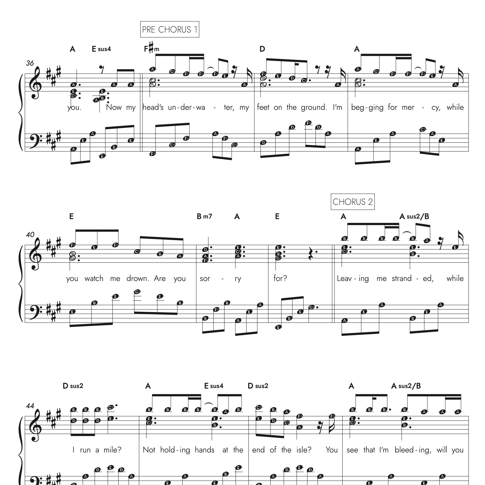 Sera - Are you sorry now - Nootstudio