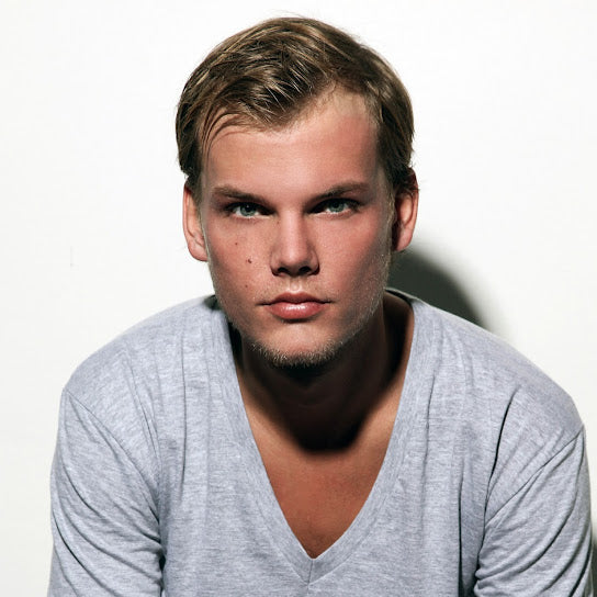 Avicii - Without you - Nootstudio